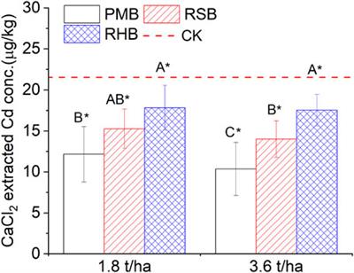 Field verification of low-level biochar applications as effective ameliorants to mitigate cadmium accumulation into Brassica campestris L from polluted soils